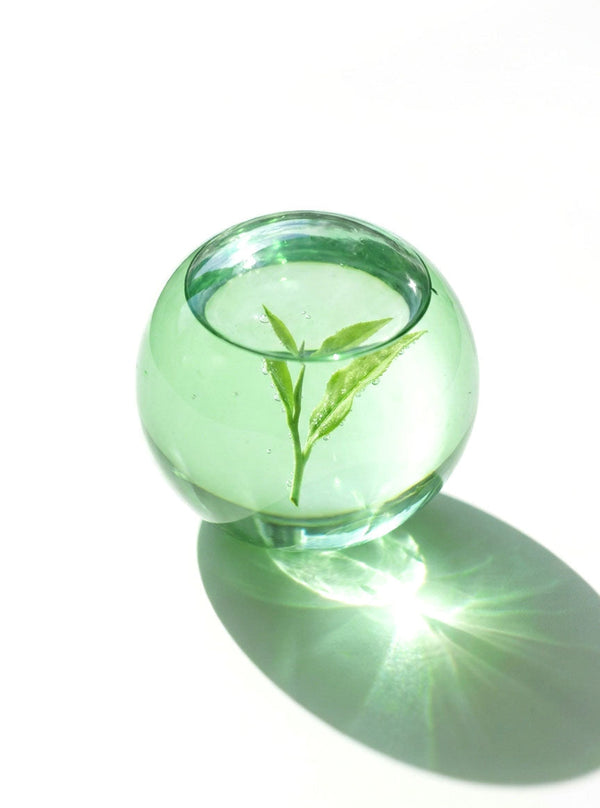 Green Tea Extract